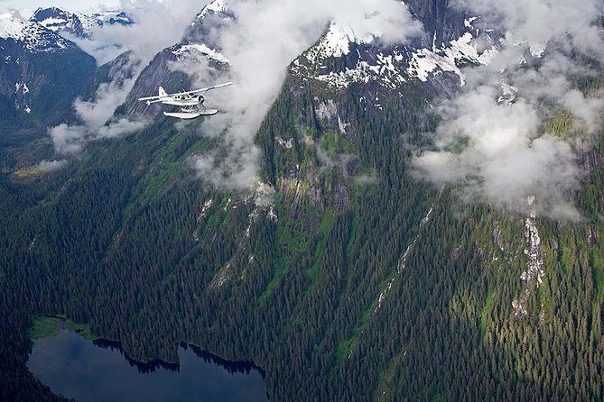 Misty Fjords Flightseeing 1 hour - Is $379 a fair price?