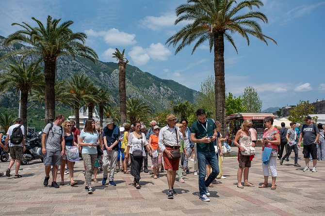 Montenegro: Bay of Kotor Day Trip from Dubrovnik English -Español - Kotor Old Town in three useful hours