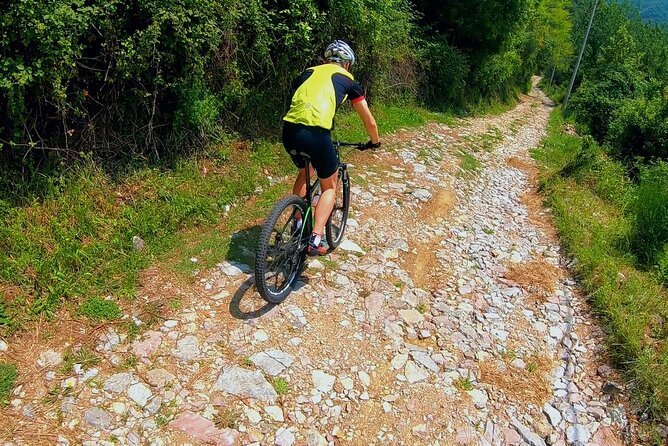 Mountain Biking on Vrmac peninsula - Panoramic view on Kotor bay - Why Vrmac makes a good biking day