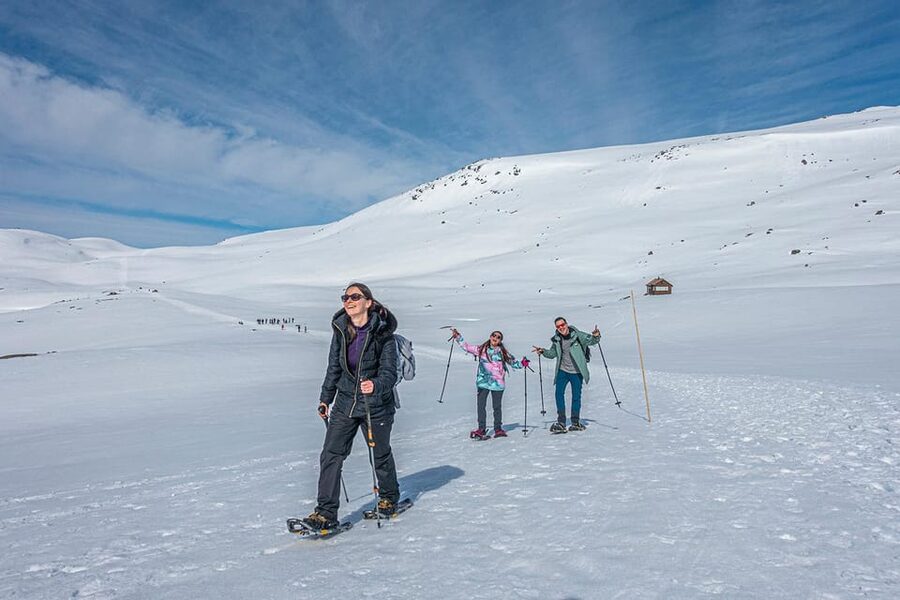 Odda: Trolltunga Winter Hike on Snowshoes - From Skjeggedal to Mågelitopp at 7:30 AM