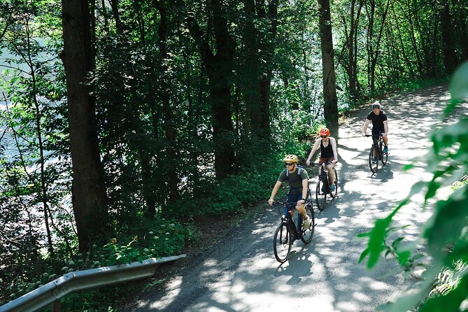 Olden: Fjord e-bike tour - Starting near the cruise dock in Olden