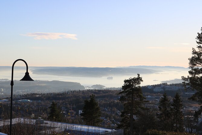 Oslo City Highlights with Fjord Cruise - What the guide and coach add