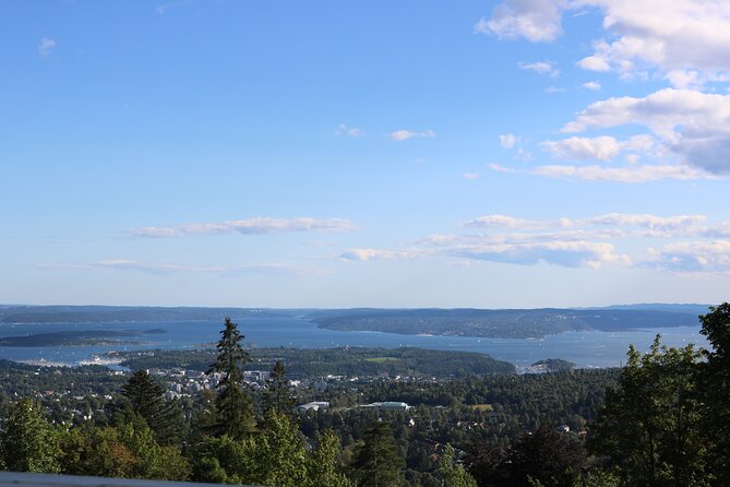 Oslo City Highlights with Fjord Cruise - The timing is useful, but the day moves quickly