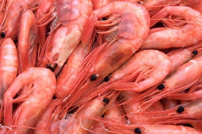 Oslo Fjord Evening Cruise with Shrimp Buffet on a Sailing Ship - What the $90.25 price gets you