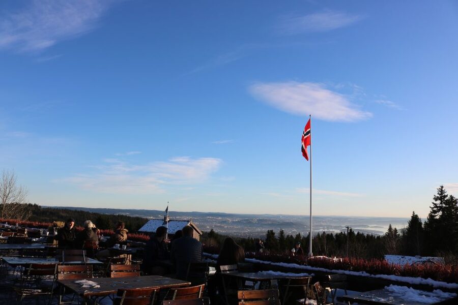 Oslo: Guided Oslo Highlights Tour by bus & Oslofjord cruise - Holmenkollen Ski Jump and the city below