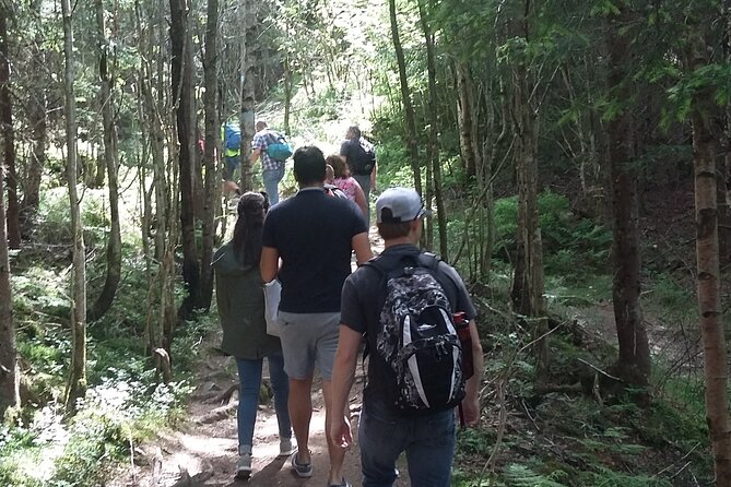 Oslo Nature walks: Forest to Fjord - Sognsvann Lake and a calmer stretch