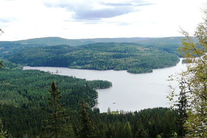 Oslo Nature walks: Forest to Fjord - Who will enjoy this hike most