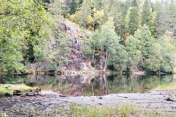 Oslo’s Ultimate Fjord View Hike & Norwegian Waffle Workshop - What the guide adds to the walk