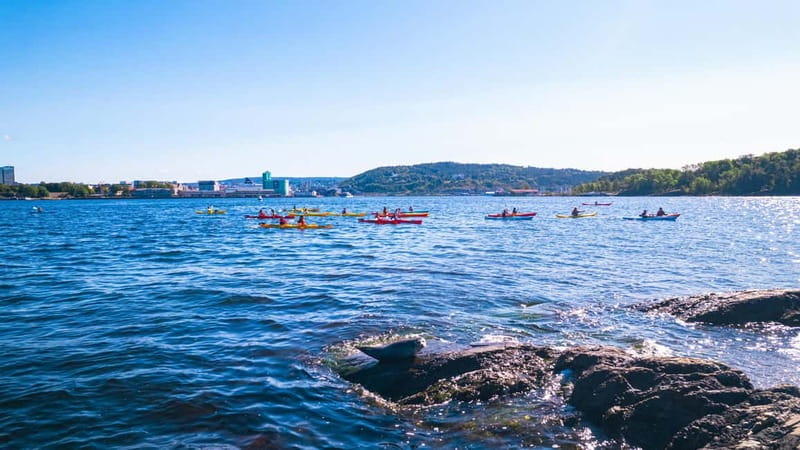 Oslo Sea Kayak Tour “Fjord City” - Key points to know before you book