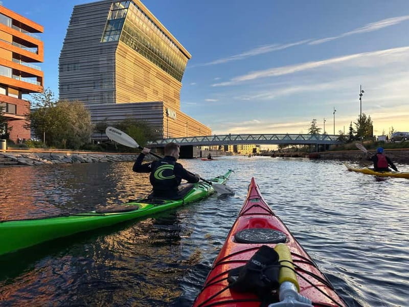 Oslo Sea Kayak Tour “Fjord City” - How wet and demanding is the outing?