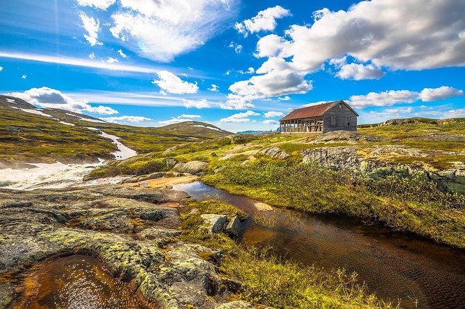 Oslo To Sognefjord Private Full Day Roundtrip Including Flam Railway - Flåm Railway from the fjord to the mountains