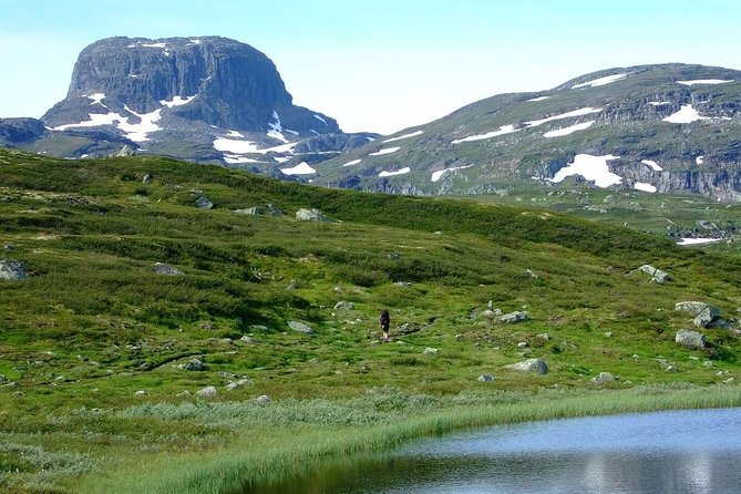 Oslo To Sognefjord Private Full Day Roundtrip Including Flam Railway - Geilo and the three-hour return to Oslo