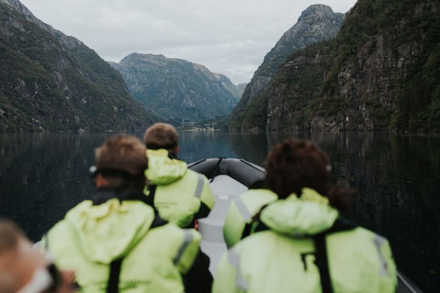 Øystese: Hardangerfjord RIB safari to the Fyksesund branch - Key points at a glance
