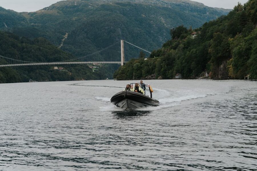 Øystese: Hardangerfjord RIB safari to the Fyksesund branch - A short look at Kvamsøy