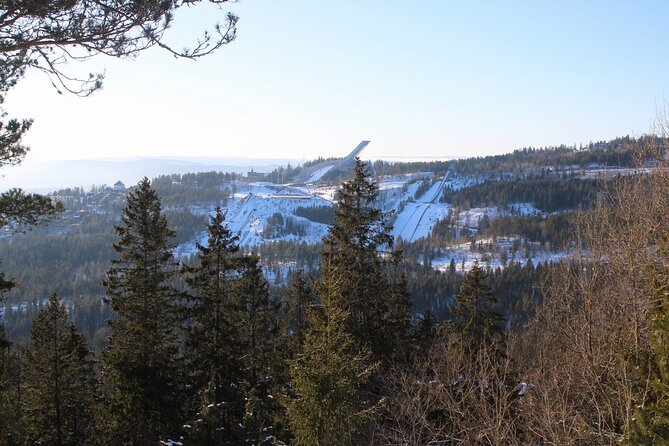 Panoramic Peaks and Oslo’s Best Fjord Views Hike - The final summit and the long view back to town