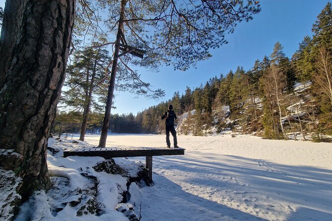 Panoramic Peaks and Oslo’s Best Fjord Views Hike - What the $128.48 price really buys