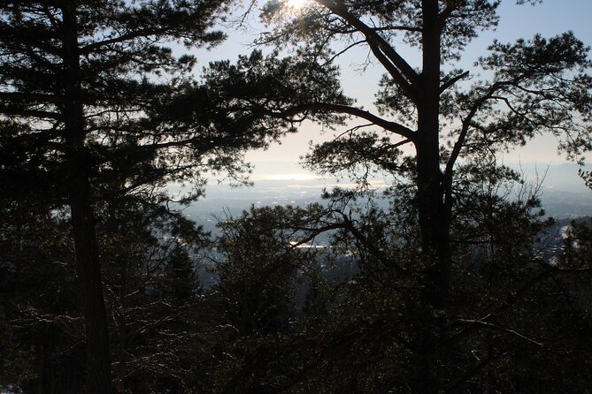 Panoramic Peaks and Oslo’s Best Fjord Views Hike - Who will get the most from this Oslo hike