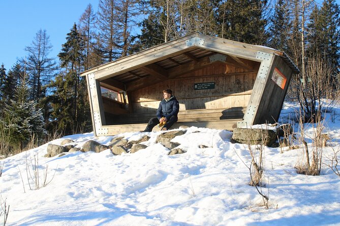 Panoramic Peaks and Oslo’s Best Fjord Views Hike - Booking, cancellation, and practical value