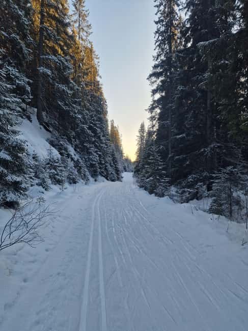 Panoramic Peaks – Oslo’s Most Beautiful Fjord Views Hike - From the tiger statue to Oslo’s high country