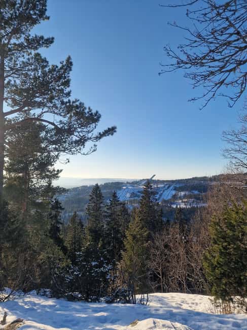 Panoramic Peaks – Oslo’s Most Beautiful Fjord Views Hike - Forest trails, lakes, and a steady climb