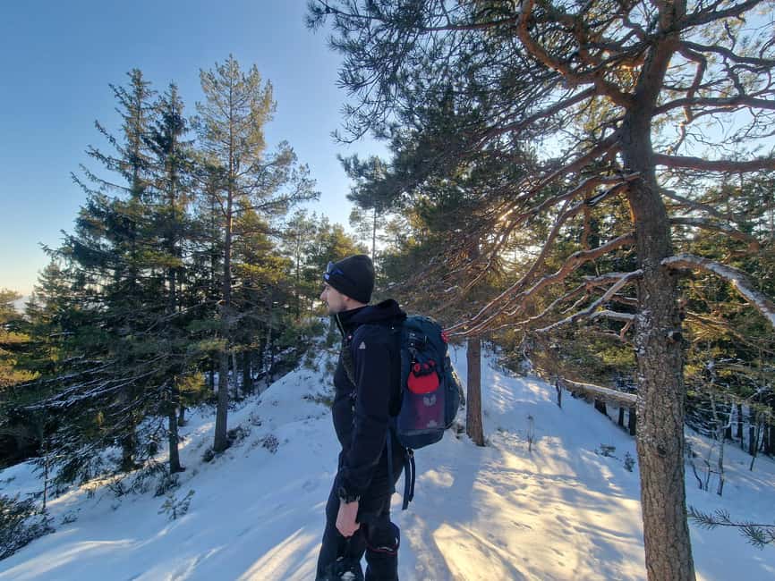Panoramic Peaks – Oslo’s Most Beautiful Fjord Views Hike - Vettakollen’s summit view