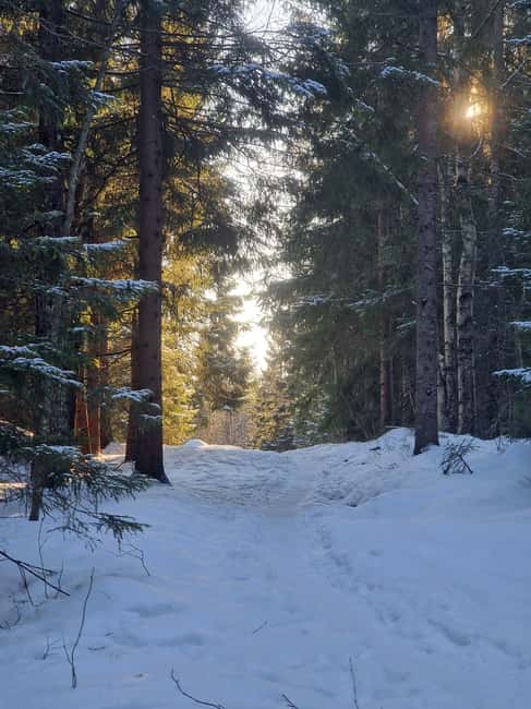 Panoramic Peaks – Oslo’s Most Beautiful Fjord Views Hike - How the timing shapes the day