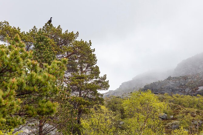 Preikestolen Hidden Trail Hike + Lunch and Canoe Trip - Arriving above Preikestolen