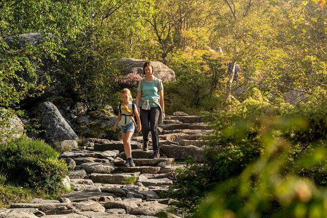 Preikestolen | Pulpit Rock - Hike with a local guide - Why the guide matters on this particular trail
