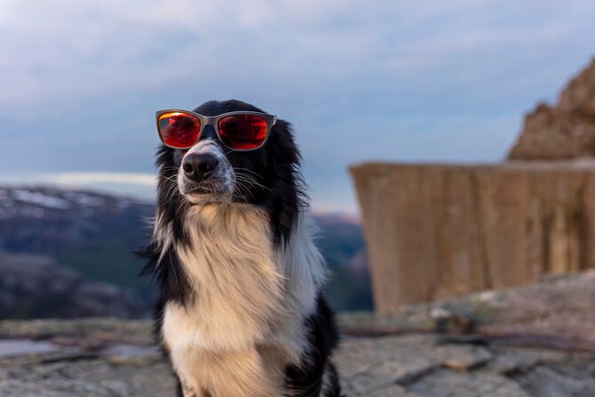 Preikestolen Sunrise Hike And Breakfast Buffet - Is the $128.88 price good value?