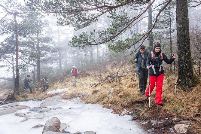 Preikestolen Winter Hike with Hot Meal - Should You Book It?