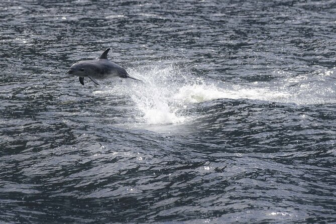 Premium Milford Sound Cruise Including Lunch - The views from deck and near the waterfalls