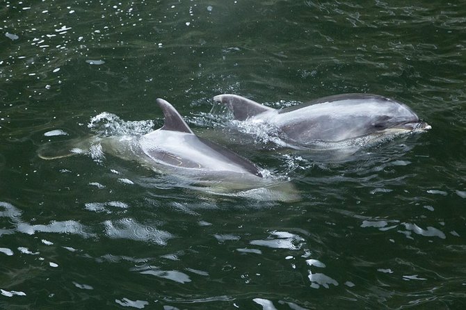 Premium Milford Sound Small Group Tour & Cruise from Queenstown - Lake Gunn and the Hollyford River show Fiordland’s quieter side