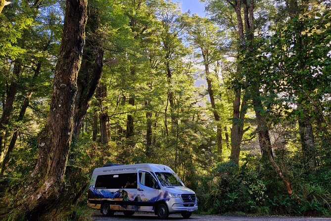 Premium Milford Sound Small Group Tour & Cruise from Queenstown - The two-hour Milford Sound cruise is the main event