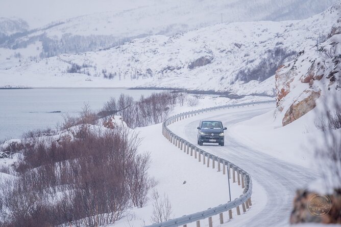Private Arctic Fjord Roadtrip with Scenic Picnic from Tromso - The picnic makes the five-hour schedule easier