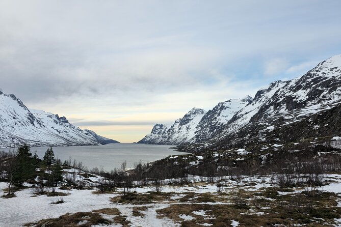 Private Arctic Fjord Tromso Morning Hidden Escapes - Tromvik adds a human scale