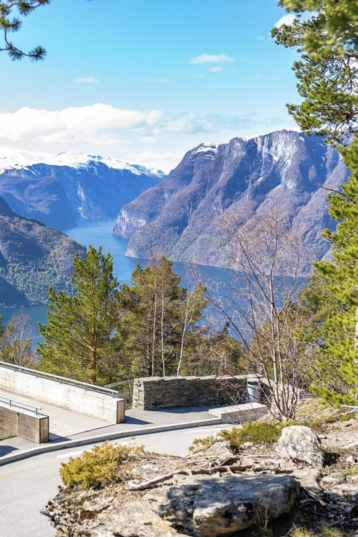 Private Day Tour- Flam Railway & Fjord Cruise From Bergen - The Flåm Railway Museum