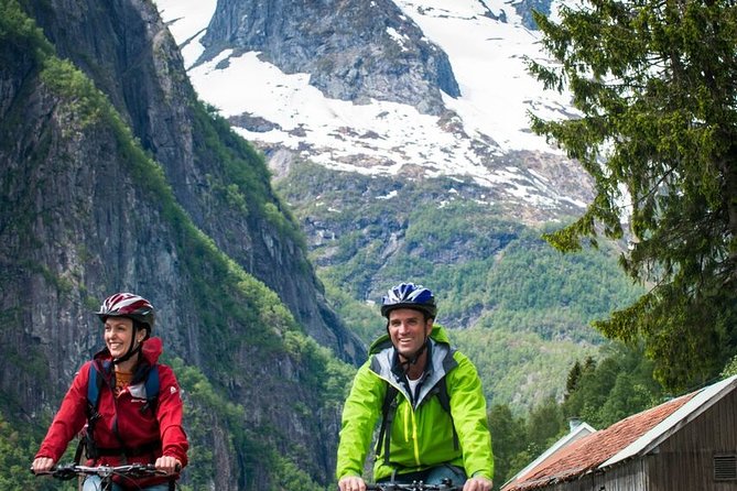 Private Full-Day Round Trip from Oslo to Sognefjord via Flåm Railway - Flåm and the famous railway