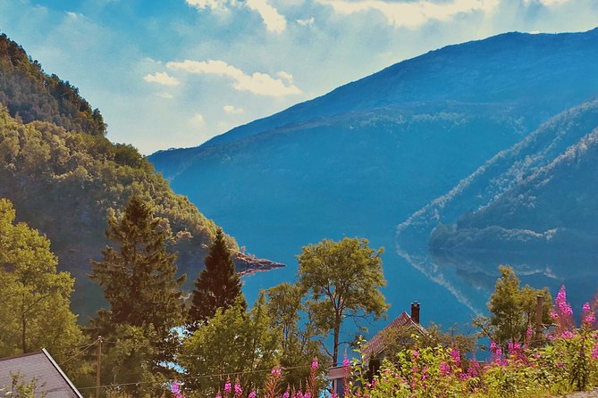 PRIVATE GUIDED TOUR: Highlights of Norway – Trip to the Sognefjord – SUMMER - From Bergen to Dale and Voss