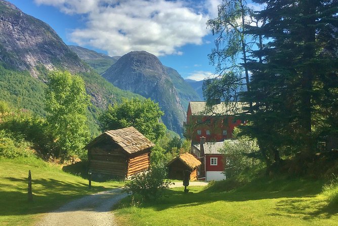 PRIVATE GUIDED TOUR: Highlights of Norway – Trip to the Sognefjord – SUMMER - Nærøyfjord by ferry or private RIB