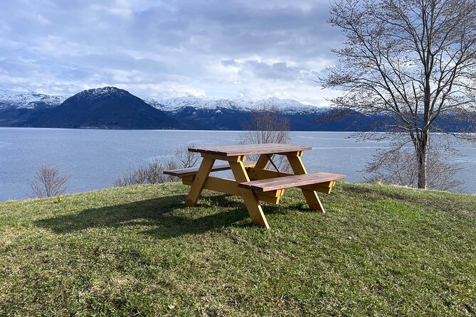 Private Guided Tour of Bergen and the Best of Norwegian Fjords - A full day beyond Bergen’s harbor