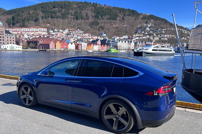 Private Guided Tour of Bergen and the Best of Norwegian Fjords - Steinstøberget: mountains, water, and apple trees
