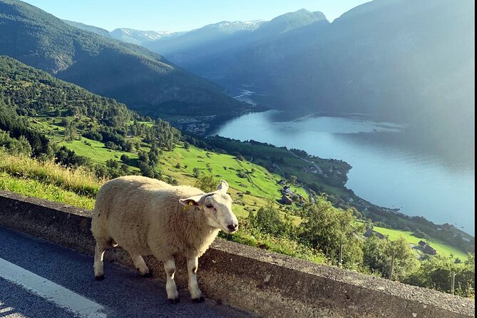 Private Guided Tour to Oslo Nærøyfjord Cruise and Flåm Railway - A one-way route through Norway’s finest scenery