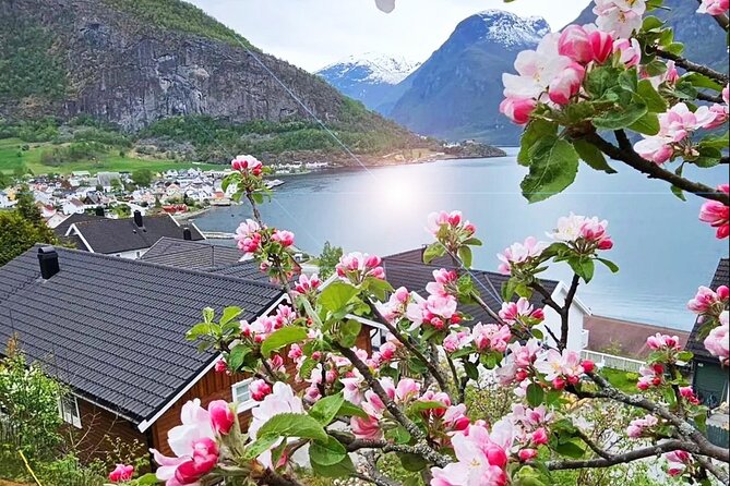 Private Guided Tour to Oslo Nærøyfjord Cruise and Flåm Railway - Is $1,116.99 per person good value?
