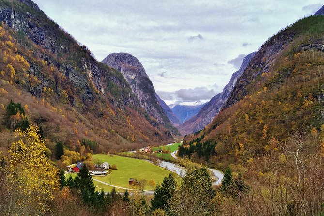 PRIVATE GUIDED TOUR: World Heritage Fjord Landscape – Viking Special – from Flåm - Njardarheimr, where history becomes hands-on