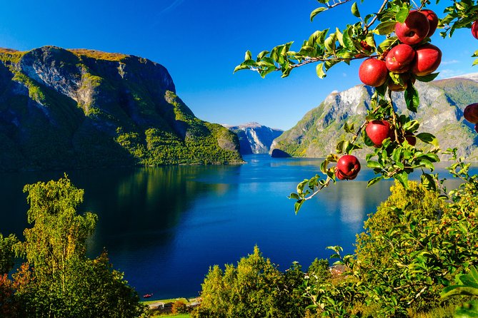 Private tour, Bergen to Oslo - Nærøyfjord Cruise & Flåm Railway - Who will enjoy this route most?