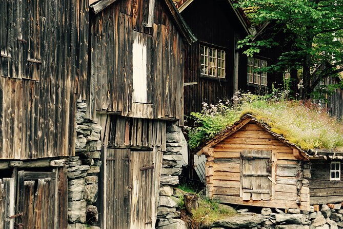 Private tour from Ålesund to Geiranger up to 15 people - Key points to know before booking