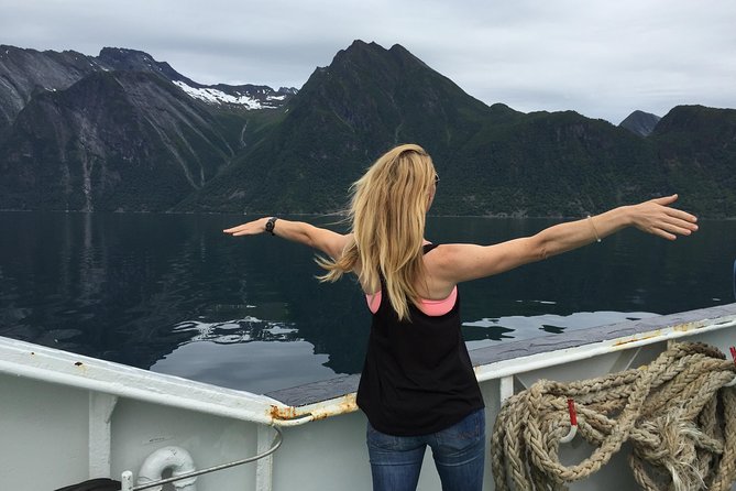 Private tour Geiranger and Glaciers 1 to 15 people - Flydalsjuvet, a short stop with a big view
