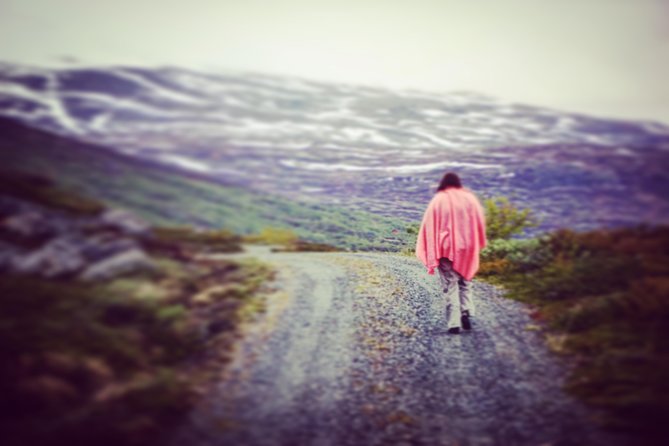 Private tour Geiranger and Glaciers 1 to 15 people - The old Strynefjell mountain road