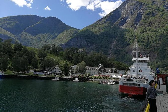 Private tour - Viking Village, Nærøyfjord Cruise and Flåm Railway - Njardarheimr puts people into the Viking story