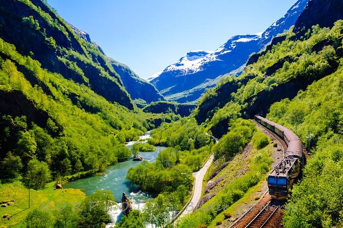 Private tour - Viking Village, Nærøyfjord Cruise and Flåm Railway - The Nærøyfjord cruise is the heart of the day
